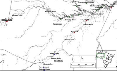 Genetic Structure in Populations of Euterpe precatoria Mart. in the Brazilian Amazon